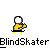 blindskater.gif